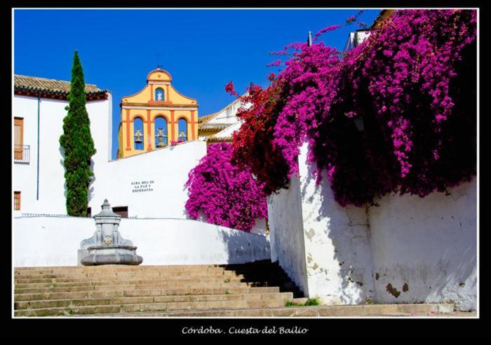 Centro Historico Cristo De Faroles La Preferida Córdoba